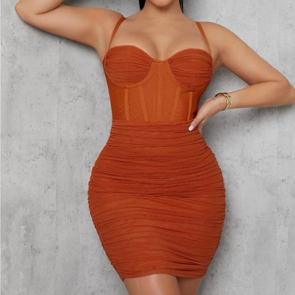 Ruched Mesh Bodycon Dress - NEVER WORN